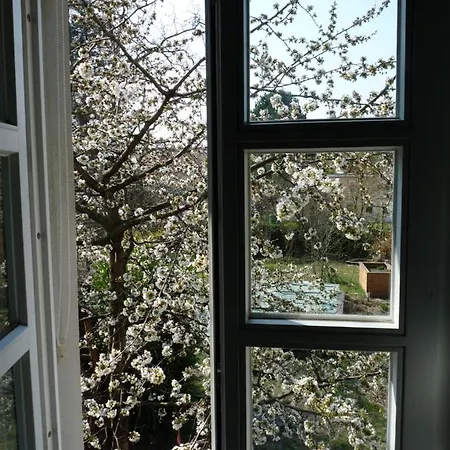 Gartenhaus-stadt-idylle Apartment