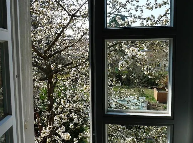 Gartenhaus-stadt-idylle Appartement